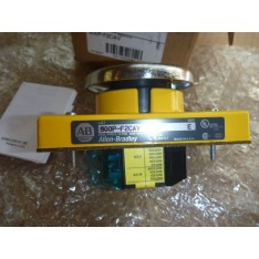PLC Input Module 800P-F2CAV