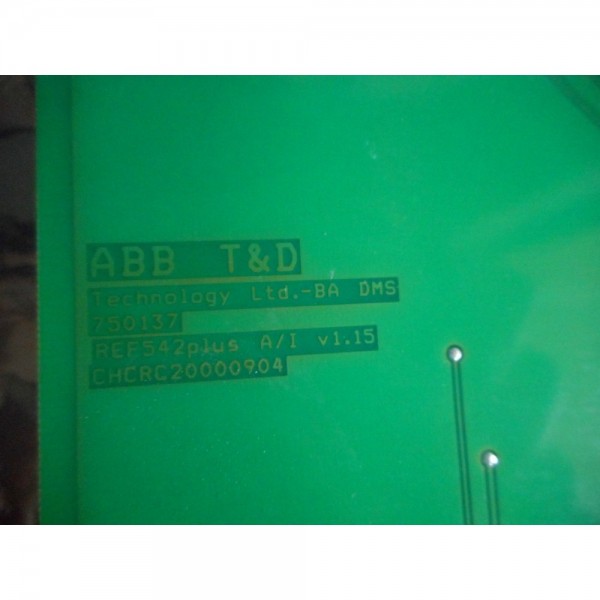 ANALOG INPUT MODULE