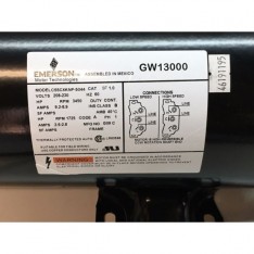 Jacuzzi 2-Speed Motor/Pump 208/230V