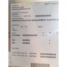 Emerson Rosemount 644 Temperature Transmitter IECEx with PT100 RTD Sensor Probe