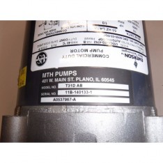 MTH Pumps T31D AB Water Pump Emerson Motor Model C55CXJZG-4762 1/3hp