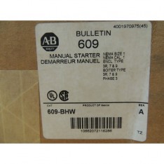 609BGW NSFP **GENUINE** 609 BGW