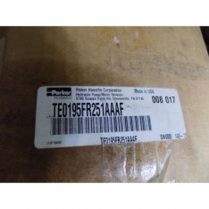TE0195FR251AAAF Motor New