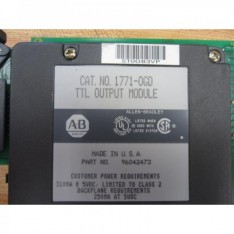 1771-OGD 16 Point Digital Output Module