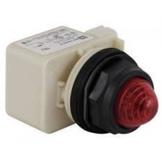 9001SKP35LRR9 Pilot Light Complete