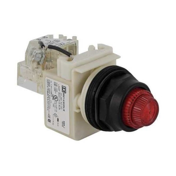 Push to Test Pilot Light Complete, Schneider Electric, 9001SKT38LRR31