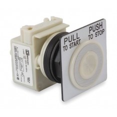 9001SKR9P1W Illuminated Push Button Operator