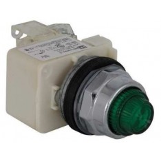 9001KT35LGG31 Push to Test Pilot Light